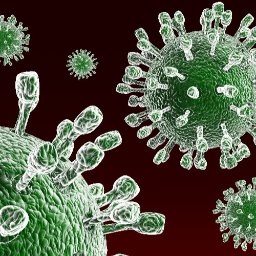 detailed image of the roto virus