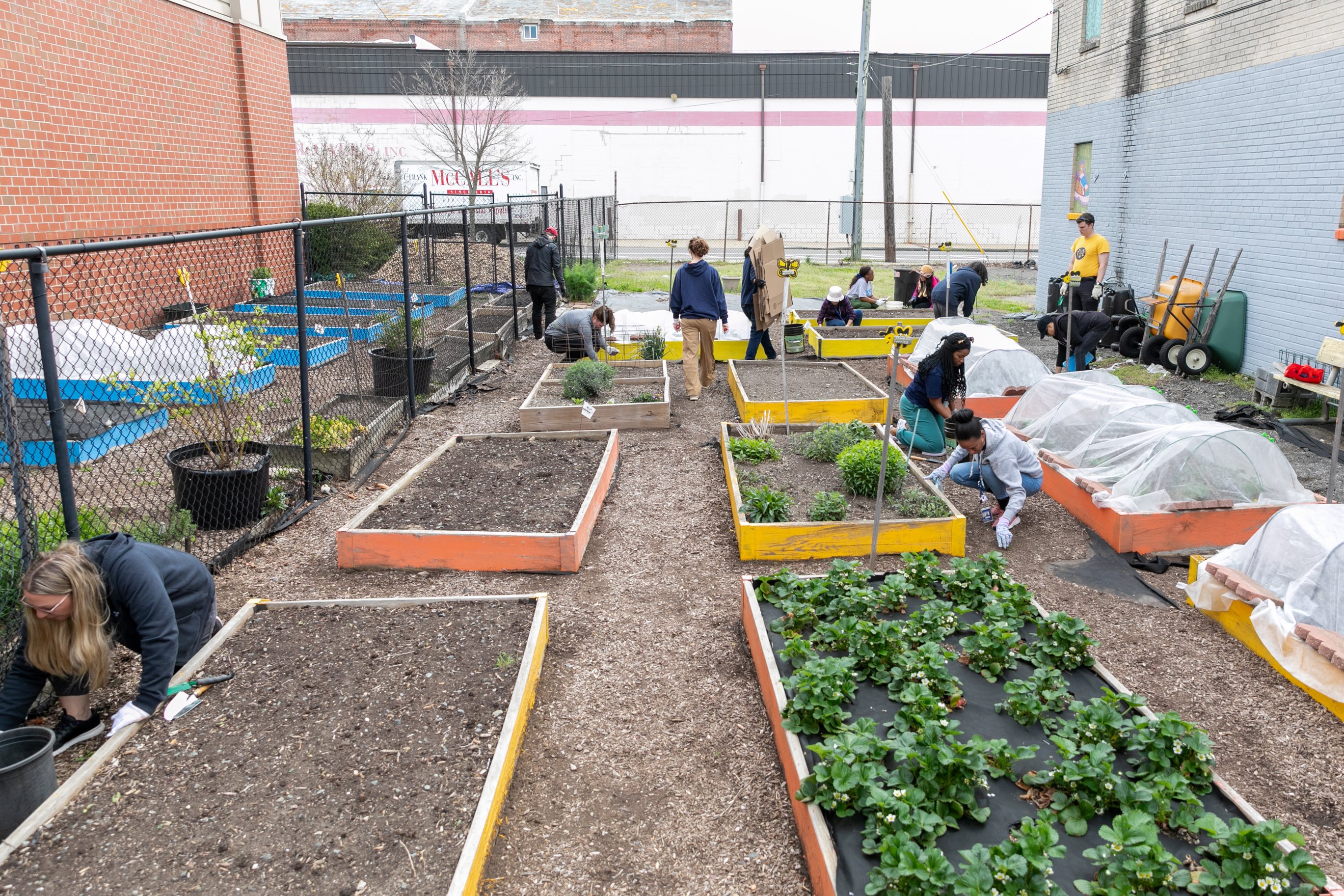 BGCC Garden
