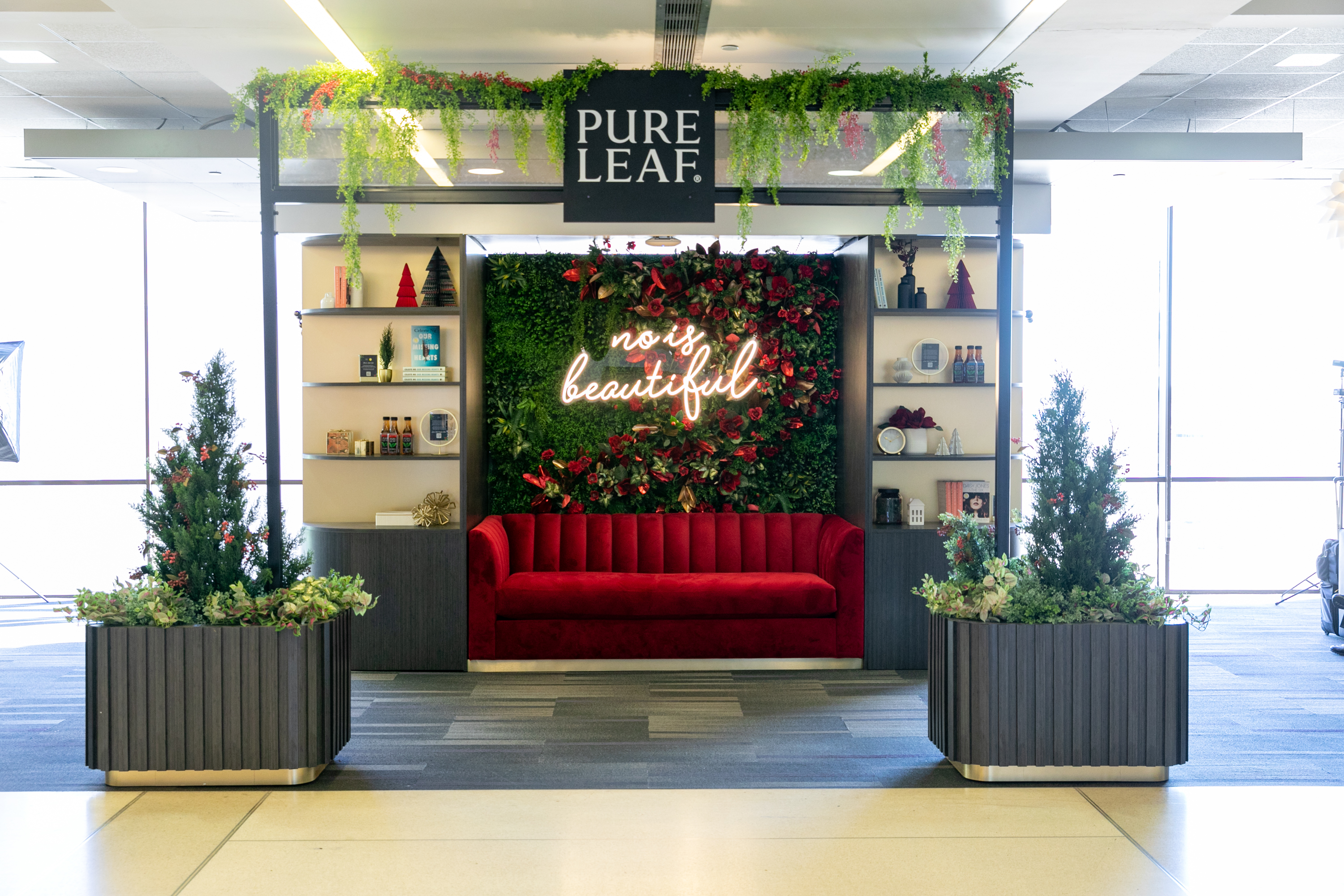 Pure Leaf Lounge