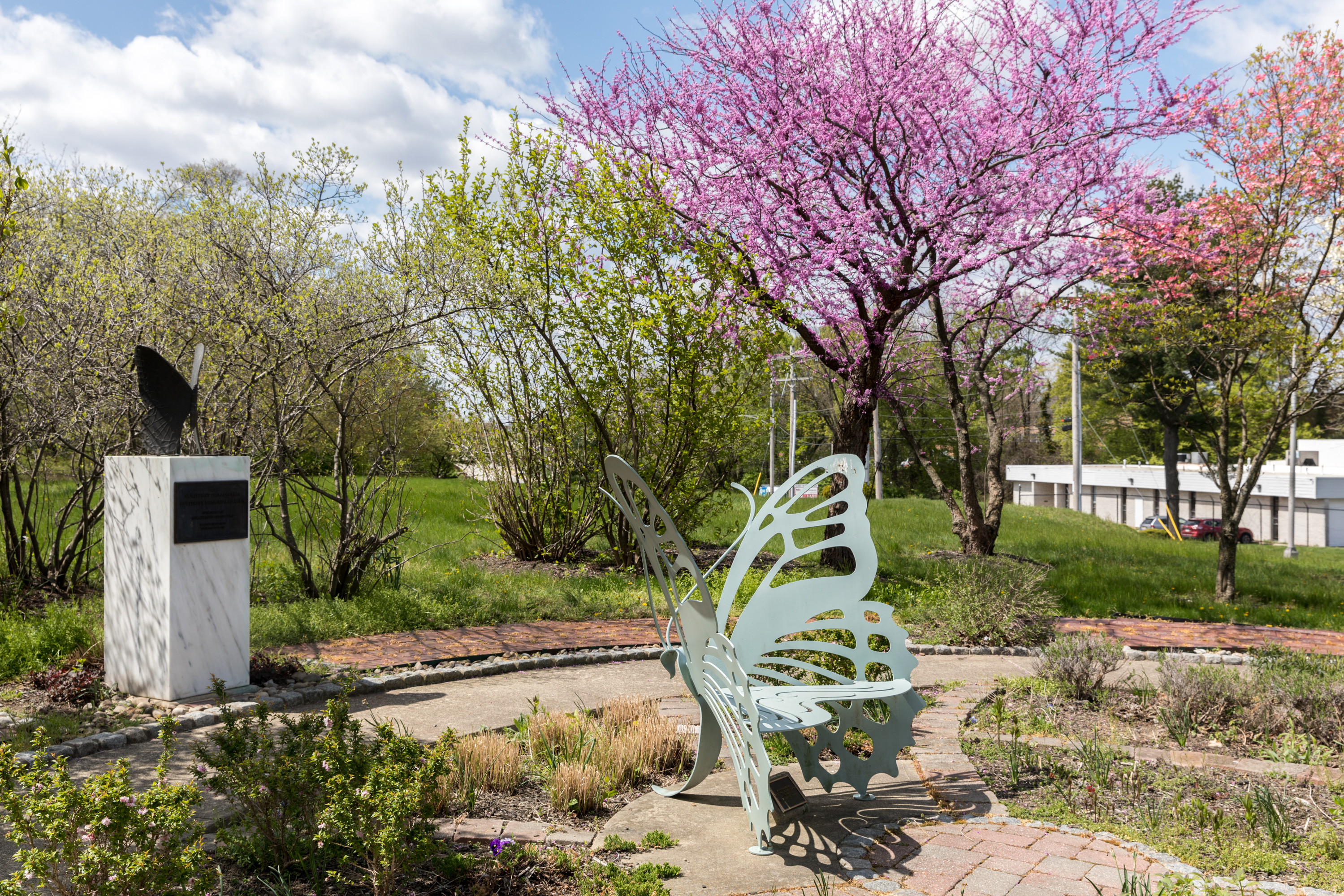 butterfly garden