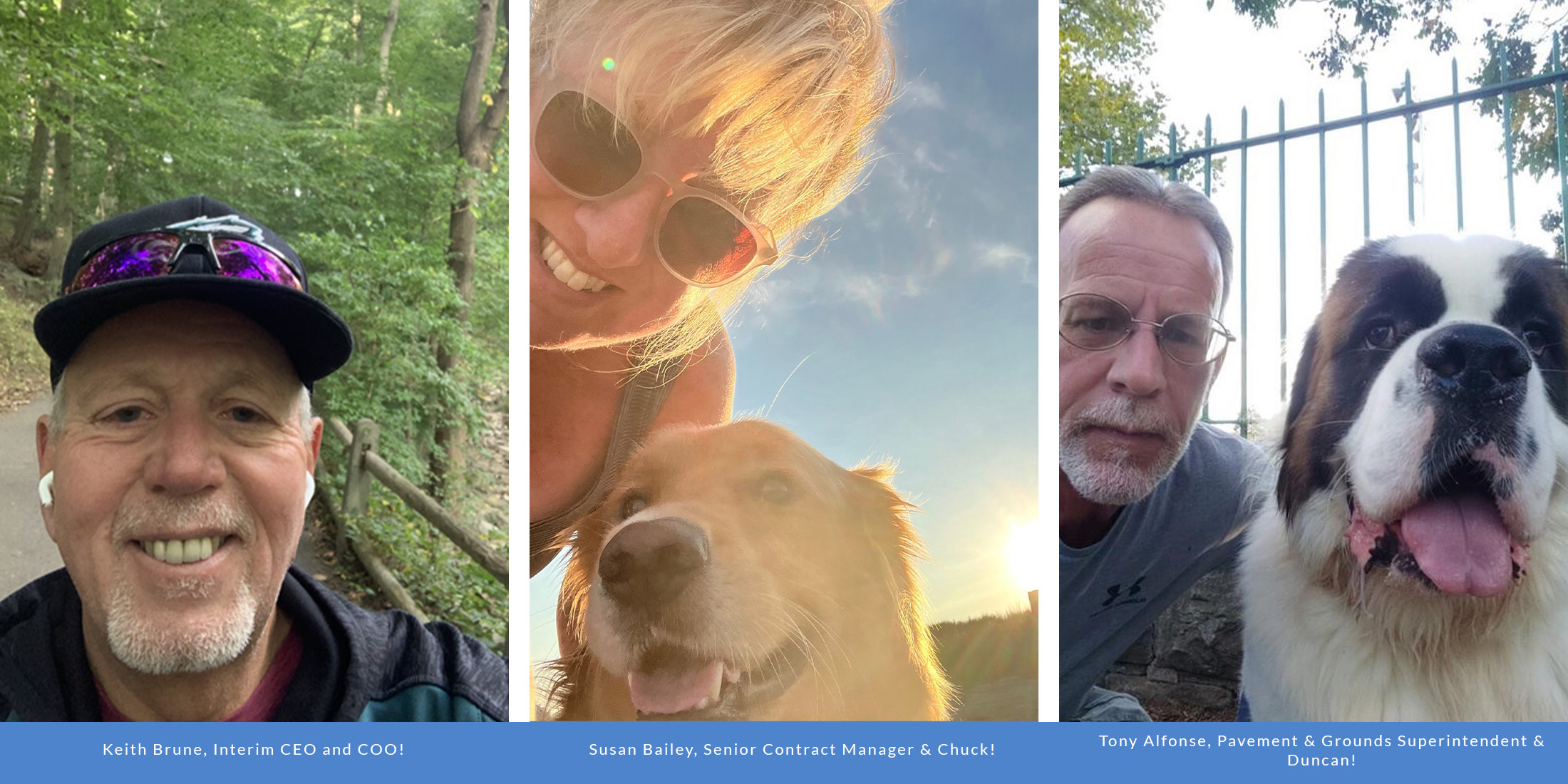 PHL walking teams with their dogs