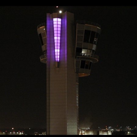 March of Dimes Lights