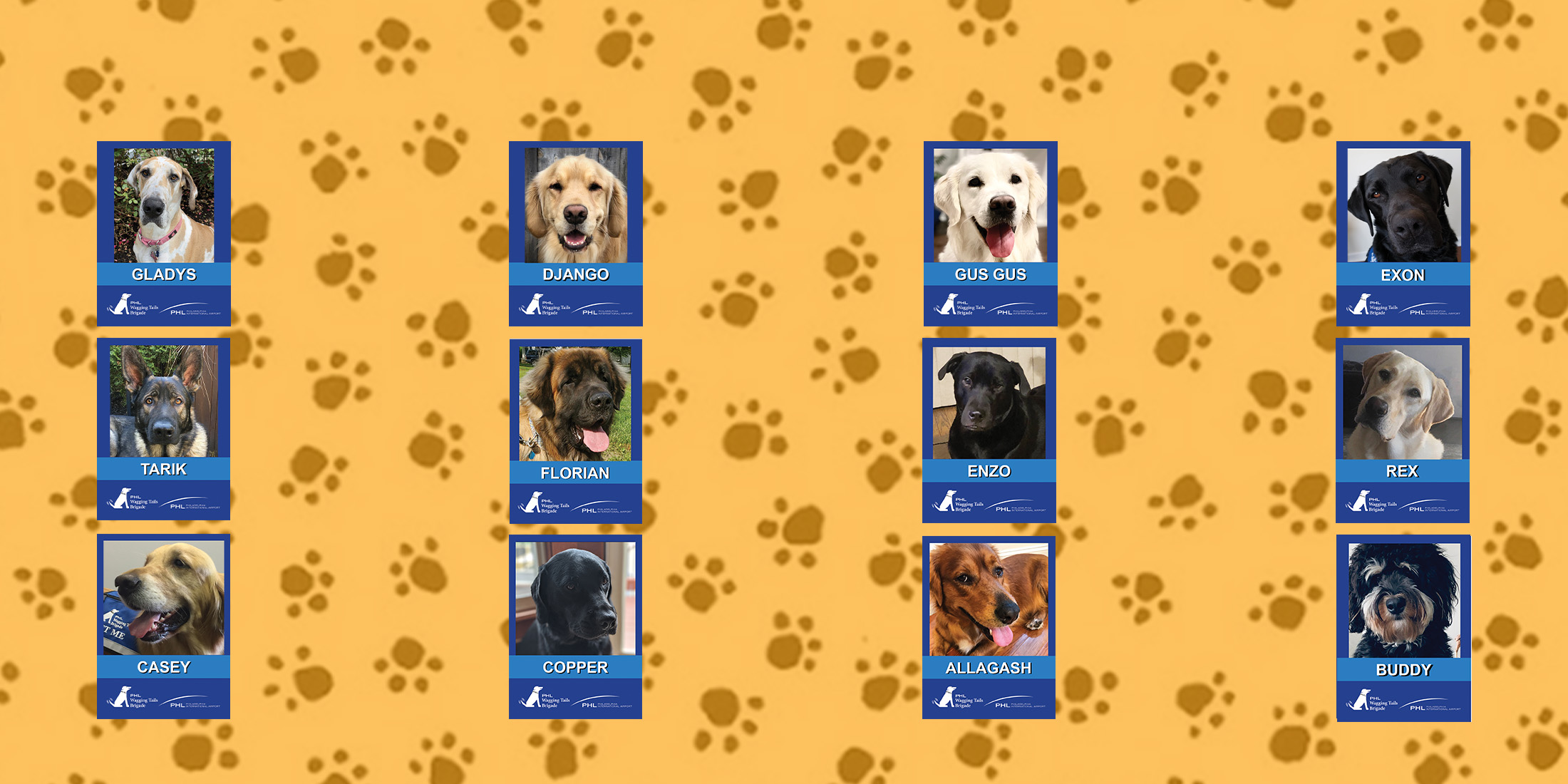 Wagging tails cards