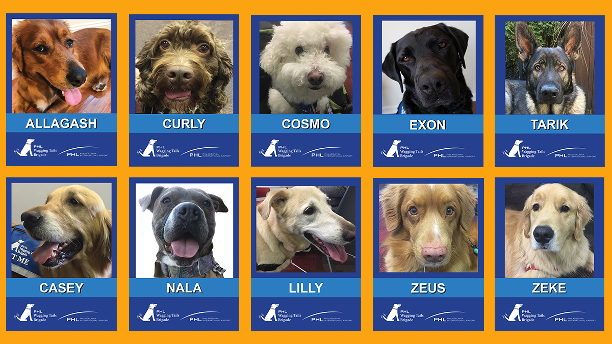 Wagging tails cards