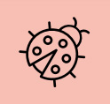 bug
