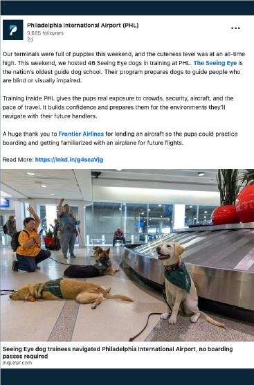 Seeing Eye puppies in baggage claim