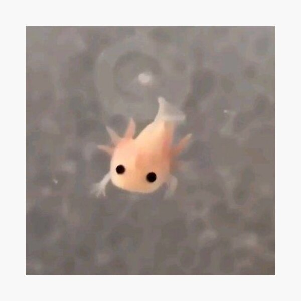 Tiny