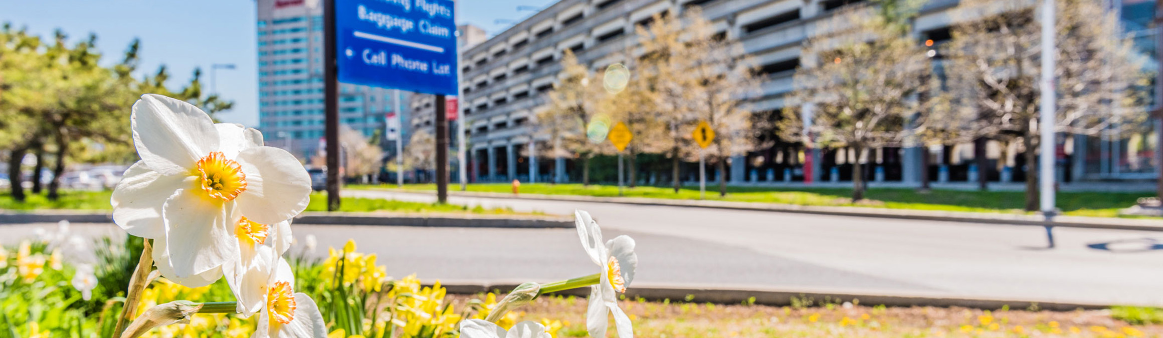 flowers at airport